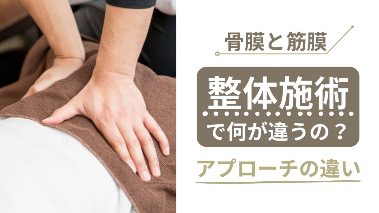 骨膜と筋膜の違い！整体施術で何が違う？