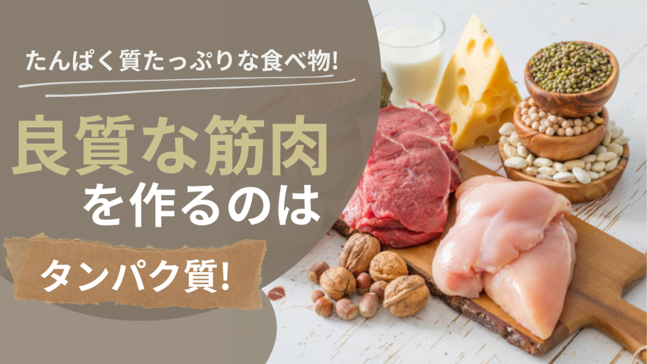 タンパク質が良質な筋肉をつくります！！